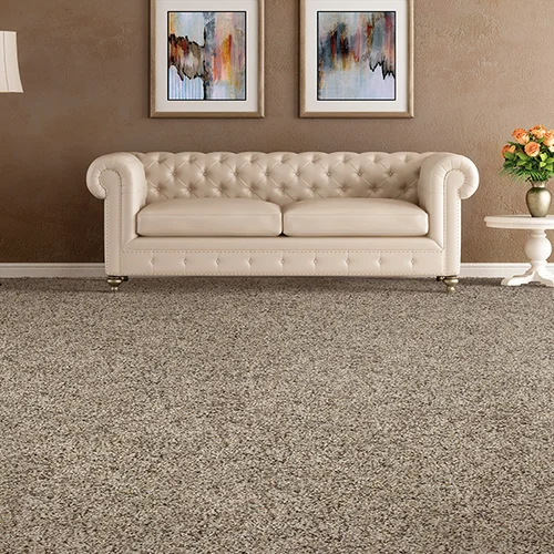 The Carpet Store providing stain-resistant pet proof carpet in Sylmar, CA